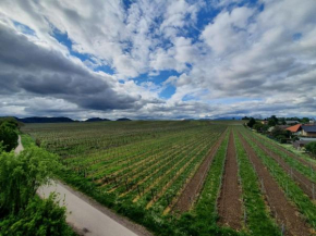 Weinseelig14